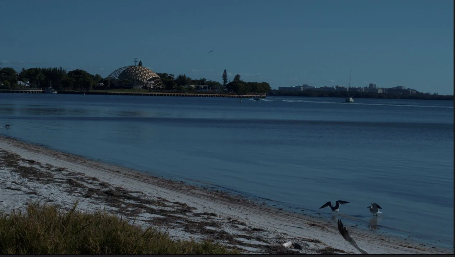 Tropical Film Base LUT color grade sample